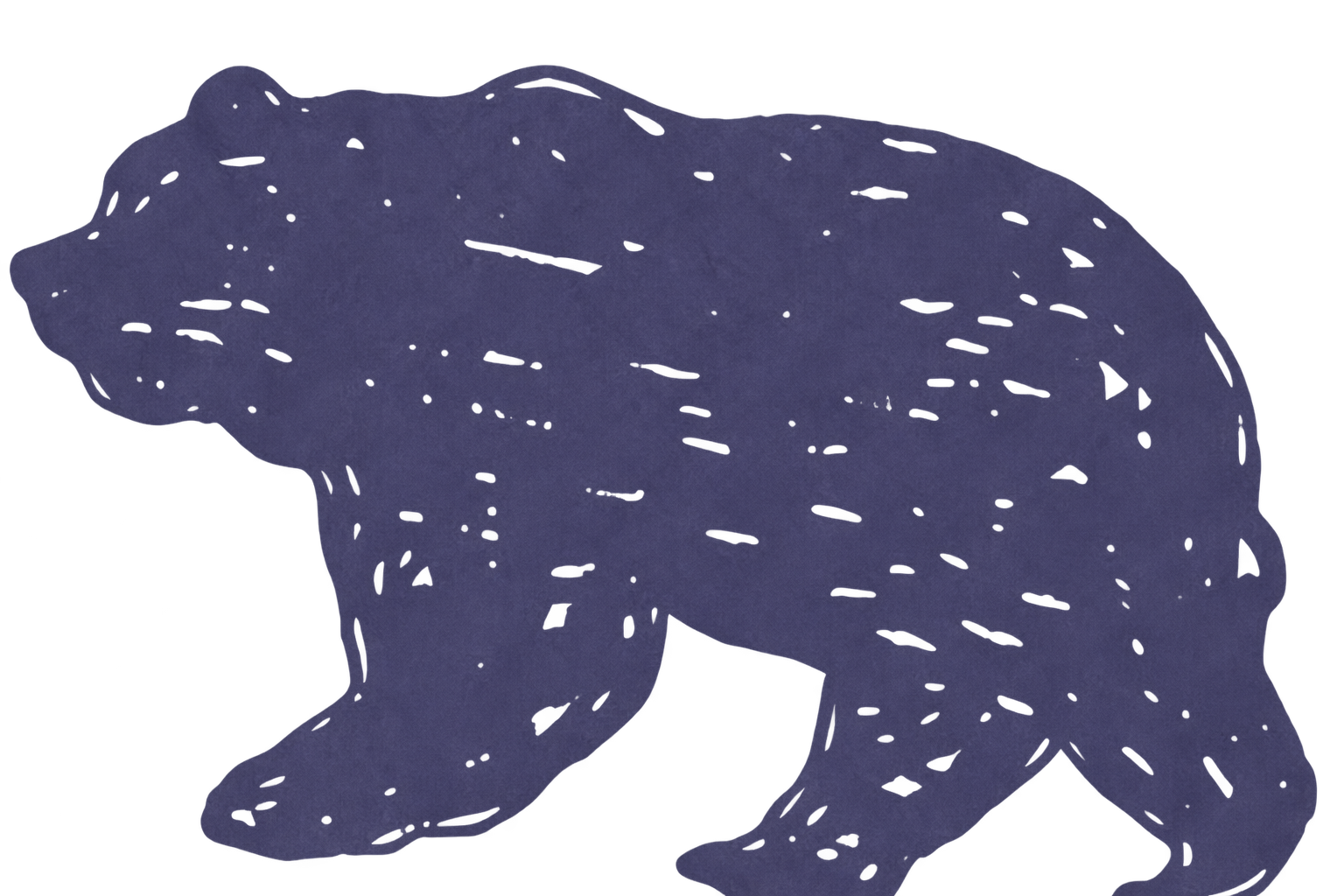 Blue Bear Cove bear symbol