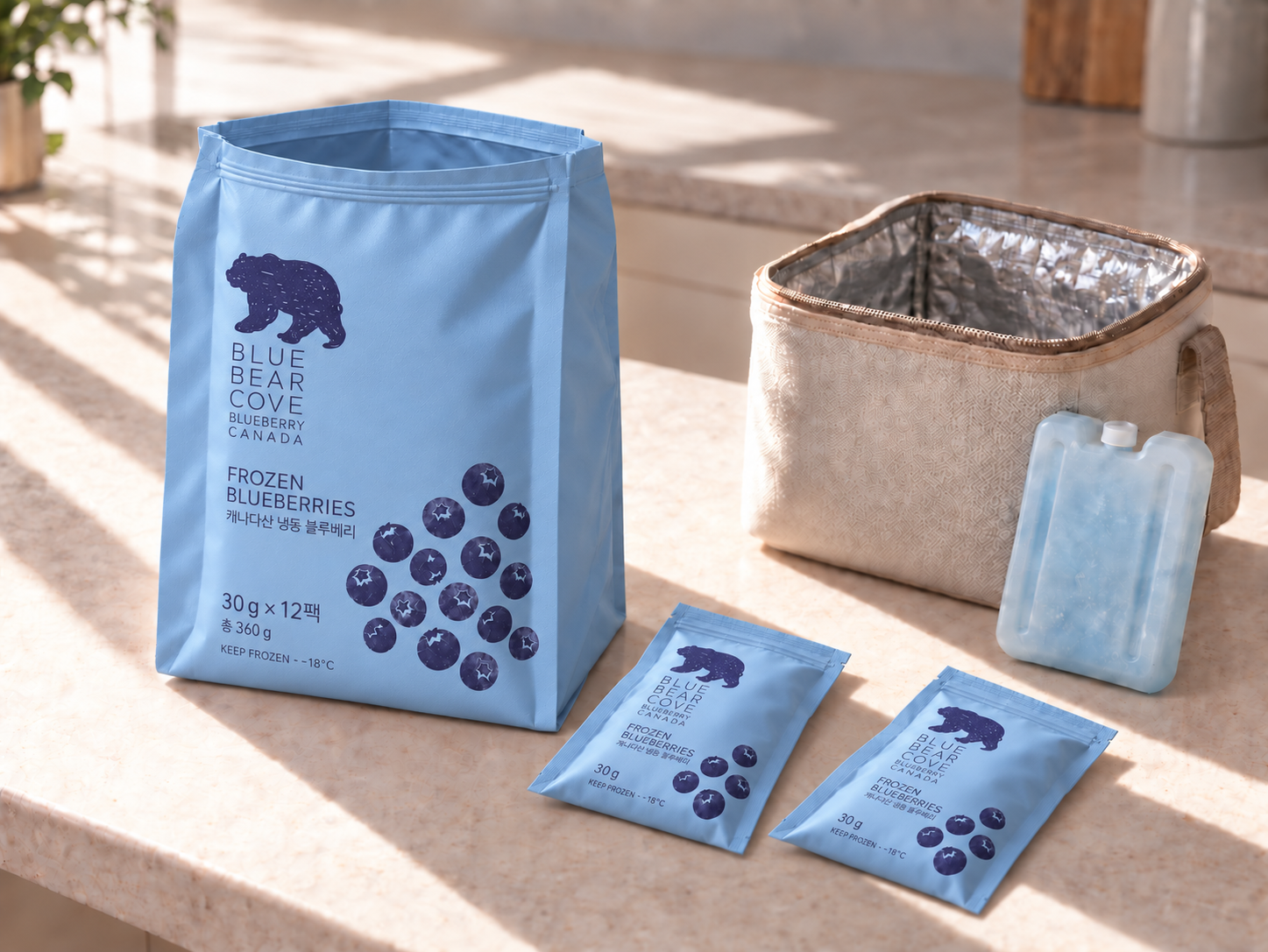 An open 12-pack outer pouch beside an insulated bag, with two small 30g sachets lying on a sunlit stone surface
